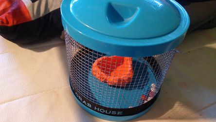 Large hermit crab cage with water dish