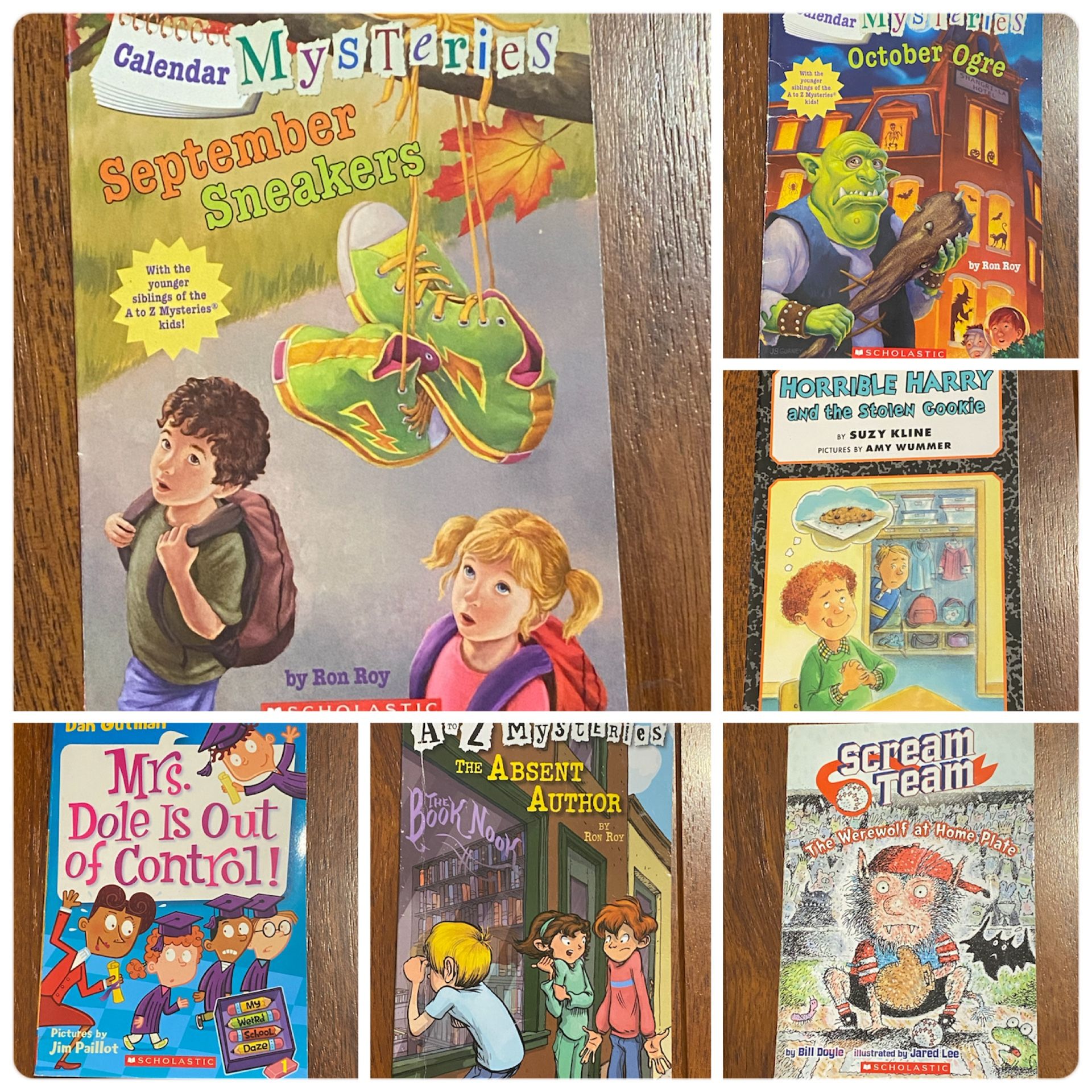 Assorted Chapter Books