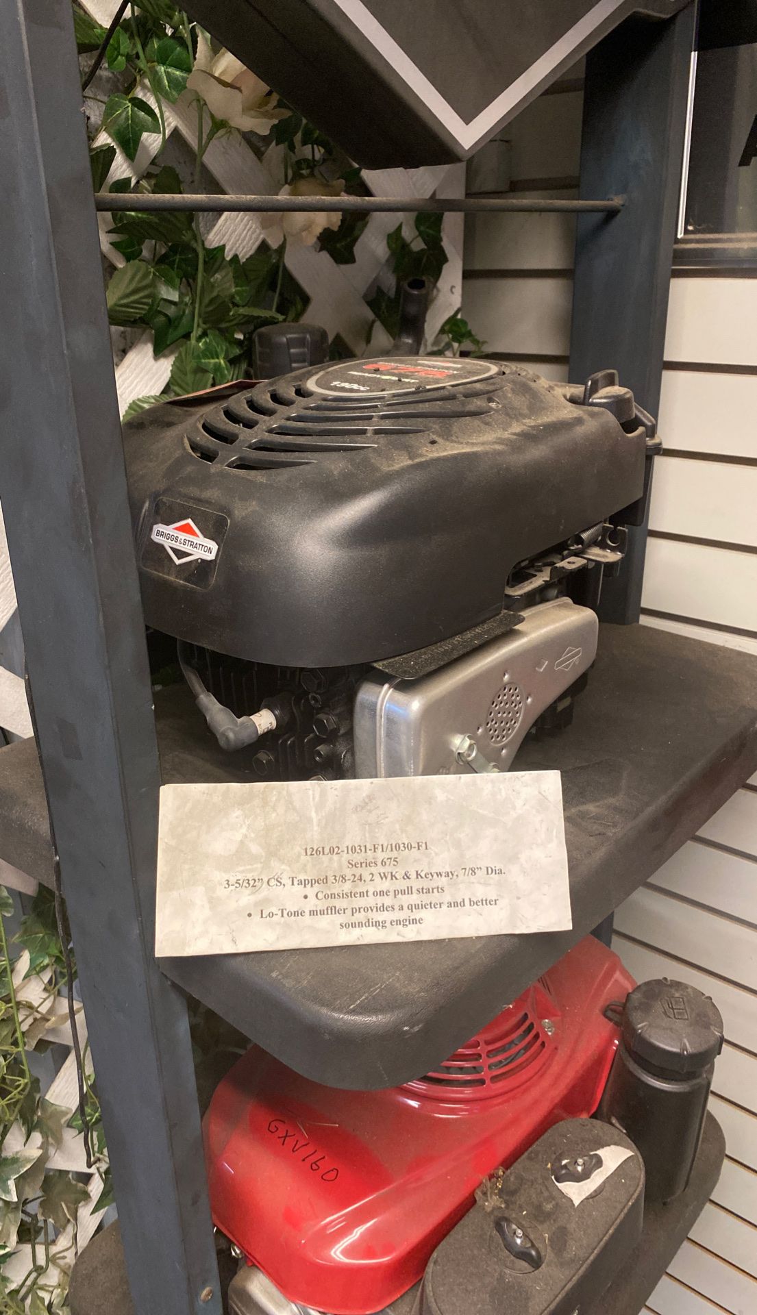 Briggs & Stratton 126L02-F1/1030-F1 Vertical Lawn Mower Engine