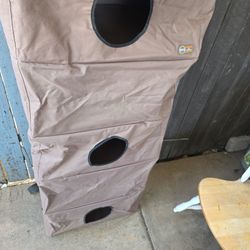 Obstacle Cat Hiding  Canopy 