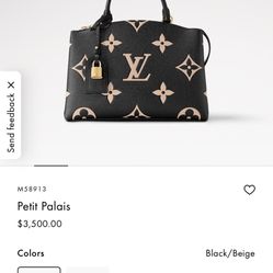 Louis Vuitton Bag