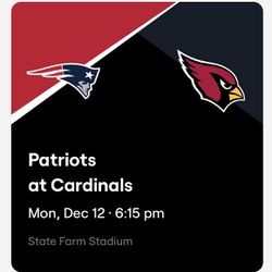 Arizona Cardinals Vs New England Patriots  Thumbnail