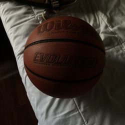 Wilson Evolution Ball
