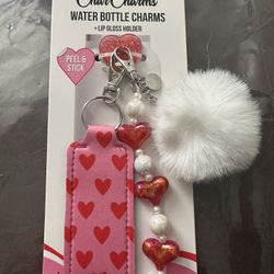 Char Charms Water Bottle Charms