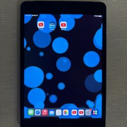 iPad Mini 4 (WiFi & Cellular) 