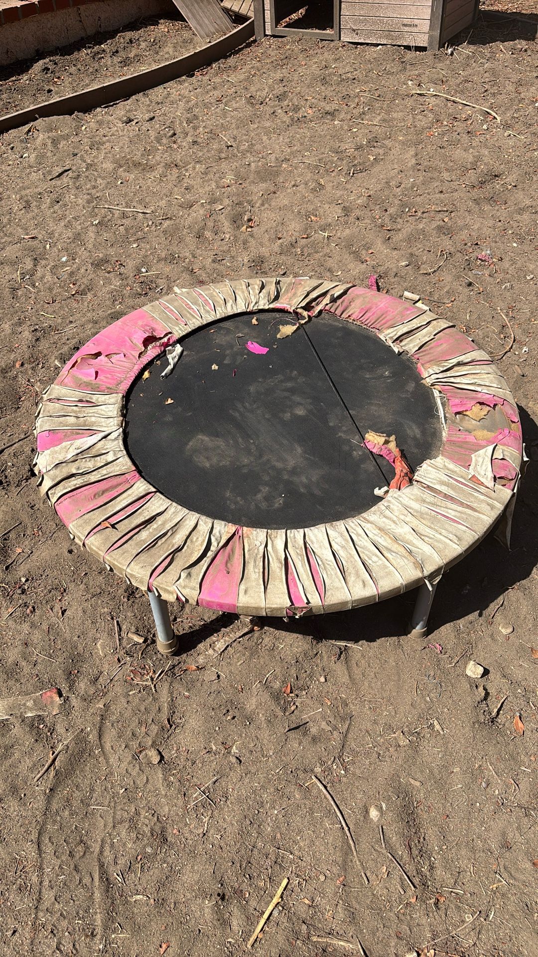 Free Mini Trampoline