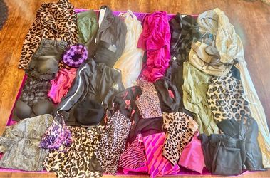 Women's Clothing Bundle Lot 25+ Pieces