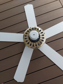Ceiling fans
