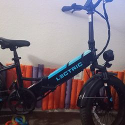 Lectric Bike