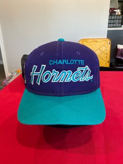 Vintage nba charlotte hornets sports specialties hat