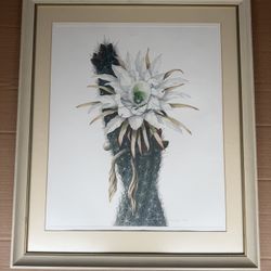 Botanical Cactus Study Limited Edition Botanical Print M. Saito