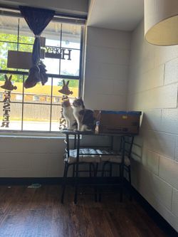 2  sitting dinette