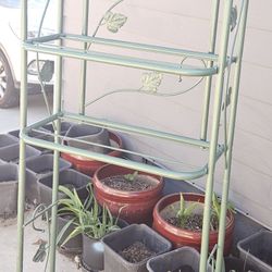 Bathroom Shelf (Over The Tiolet)