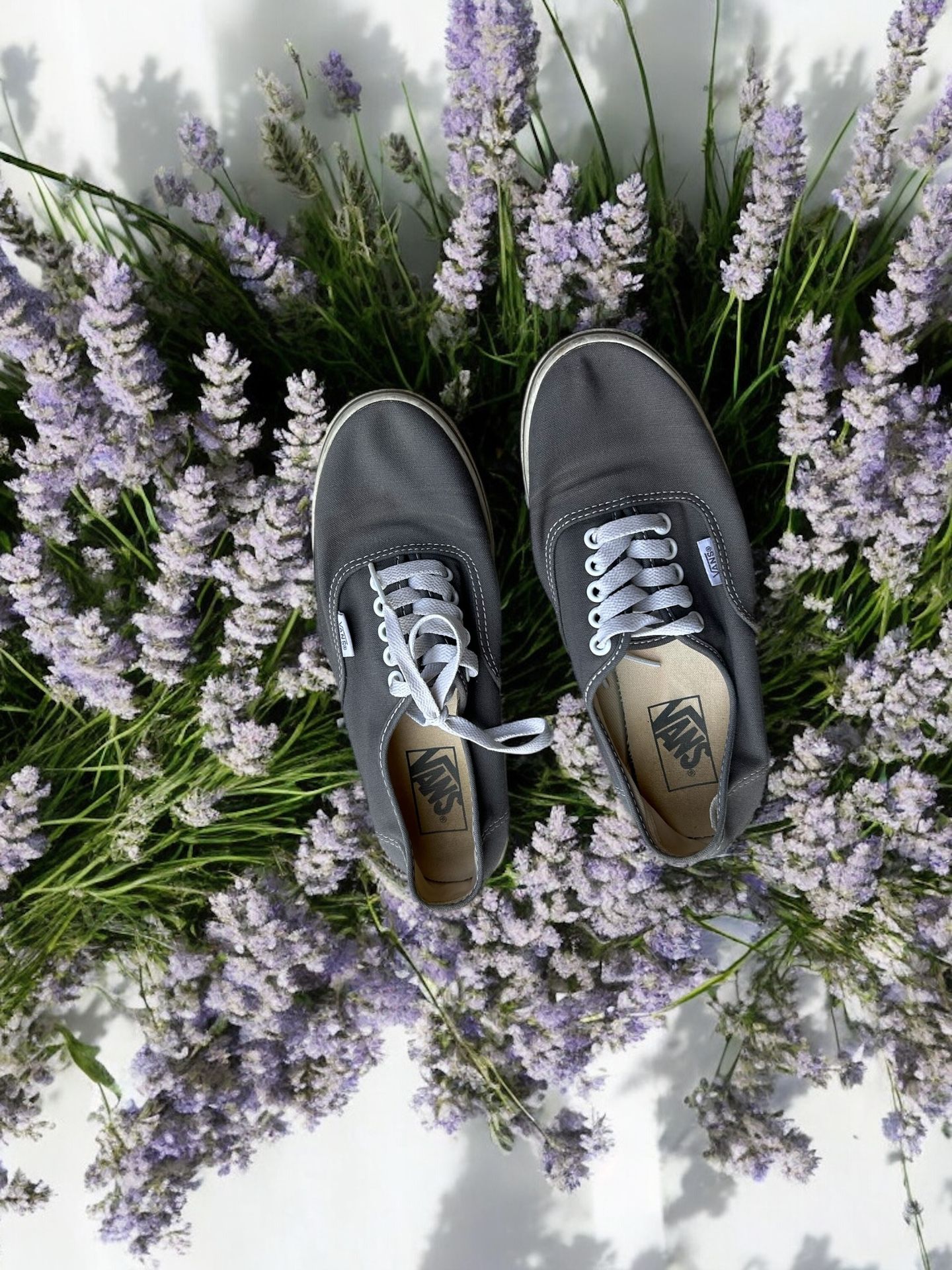 Grey Vans Authentic Shoes