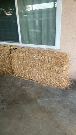 Free hay