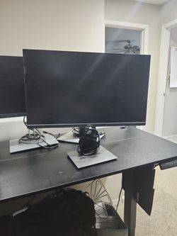 Dell 24" Monitor