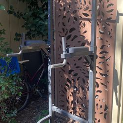 Power Tower Dip Station