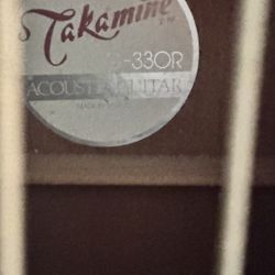 Guitar By Takamine G-Series