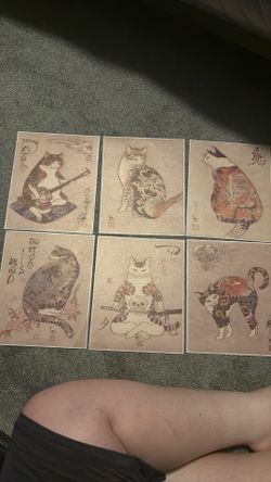 Cat posters.