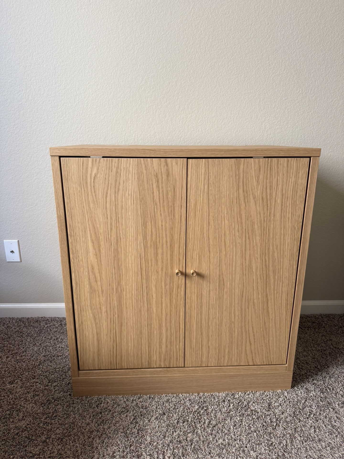 IKEA Cat Cabinet For Litter box OBO