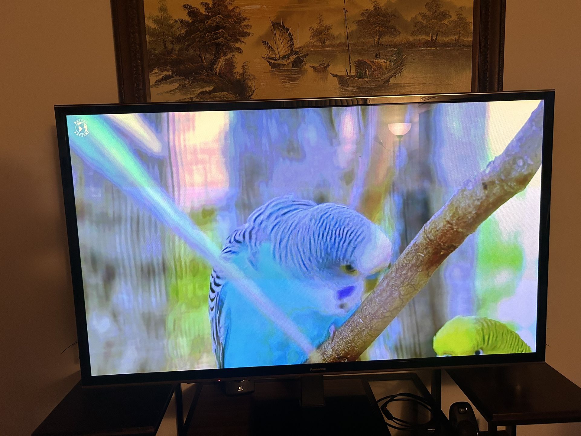 Panasonic 65” Tv