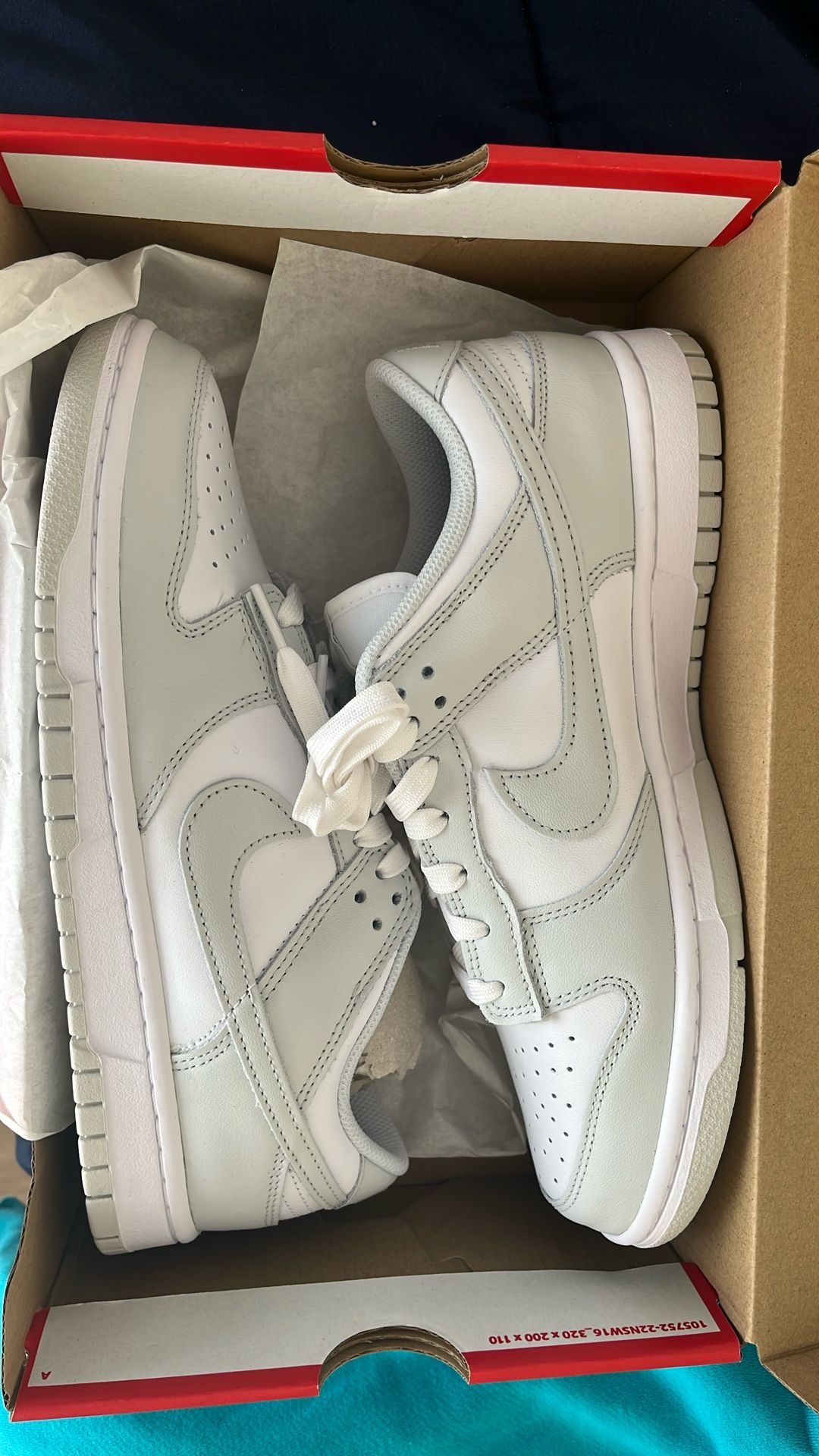 Nike Dunks