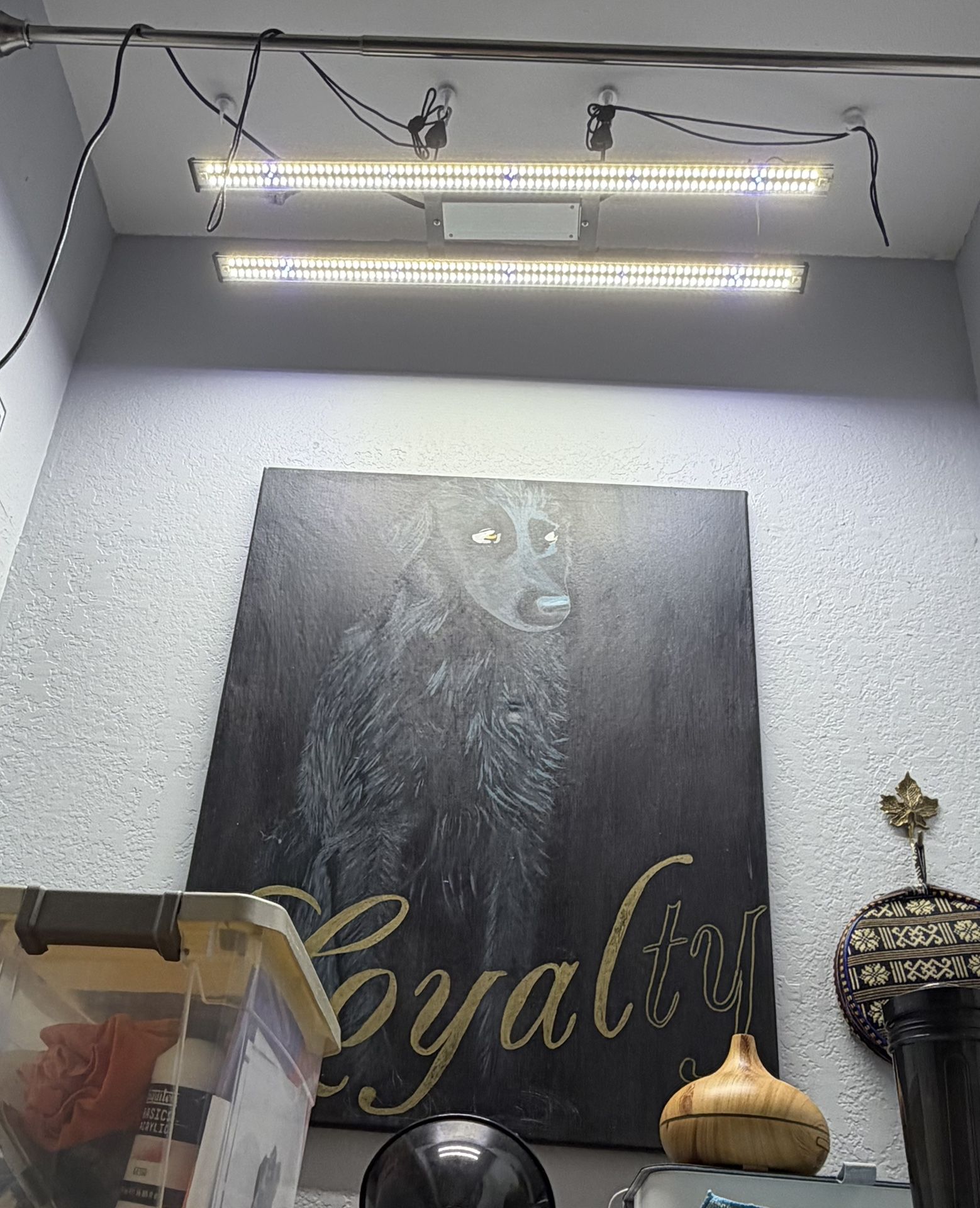 LED Grow light For Vegetative Stage