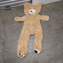 Teddy Bear Needs Stuffing