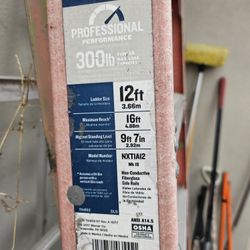 Werner 12ft 300lb A Frame