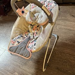 Baby Bouncer