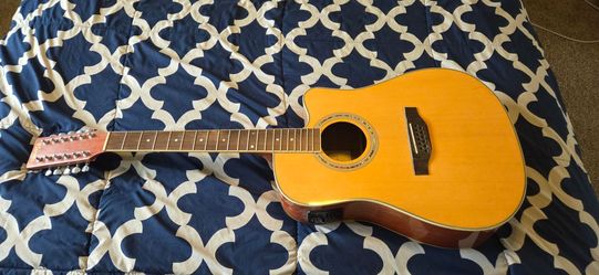 Dakota 12 String electric acoustic