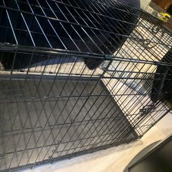 Dog Crate 