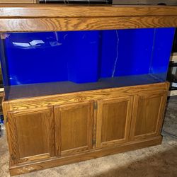 Acrylic 120 Gallon Fish Tank