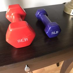 One 9 Lb And 3 Lb Weights