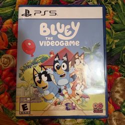 Bluey the video game