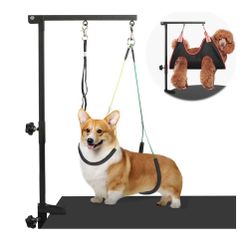 Dog Grooming  Foldable Arm W/clamp. 