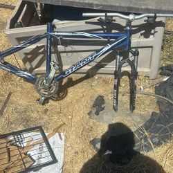 Giant Bike 