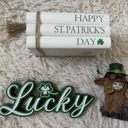 Decoration St Patrick’s Hobby Lobby  ✨☘️🤎