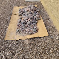 Multi Color Medium River Rocks