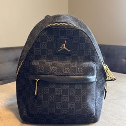 Limited Edition Air Jordan Mini Backpack - Womens Bag