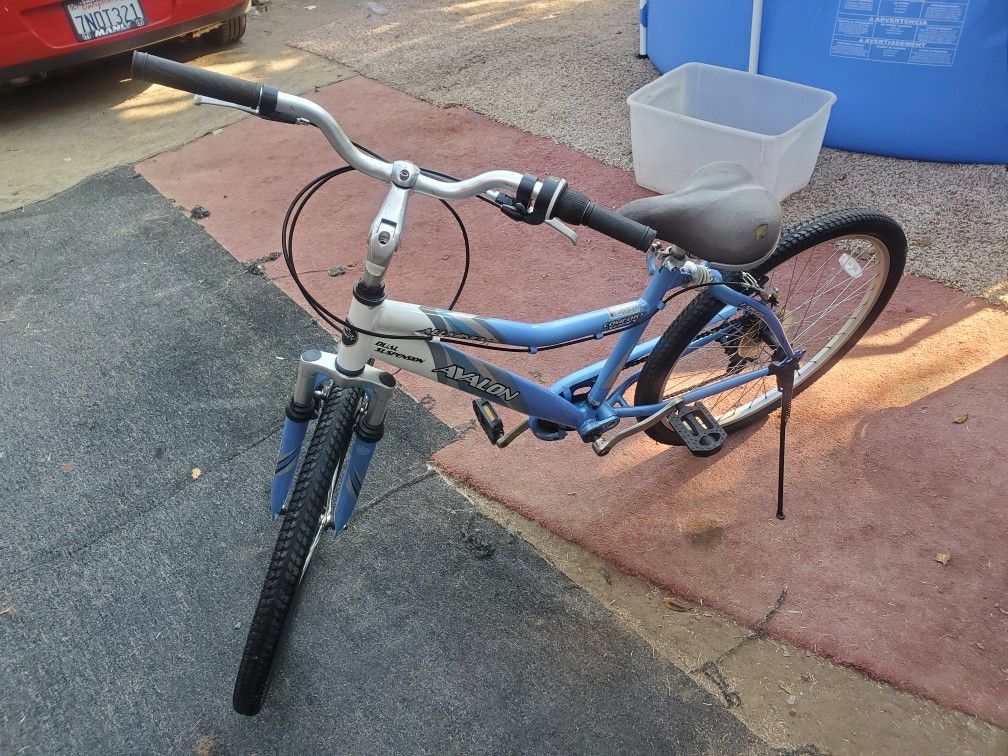 Avalon dual suspension cruiser bike