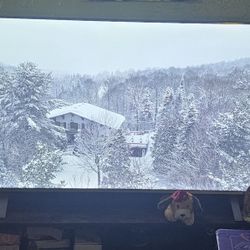 50" Toshiba Class 350 Series LED 4k UHD FIRE TV Fire TV 