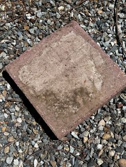 Square red pavers.