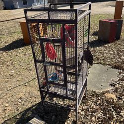 Birdcage 