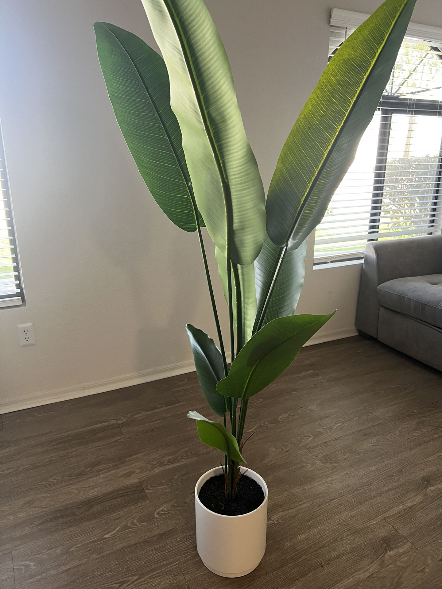 Fake Plant