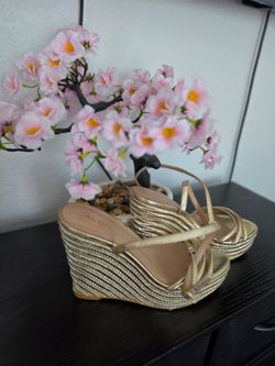 Aldo Gold Strappy Wedge Sandals