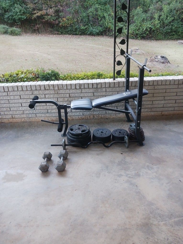 Work Out Bench, Dumb Bells, and Curl Bar