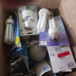 Box Of Light Bulbs 💡 Many Different Types 