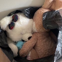 Giant Garbage Bag, Full Of Stuffed Animals!