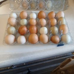 Eggs $7 Per Dozen
